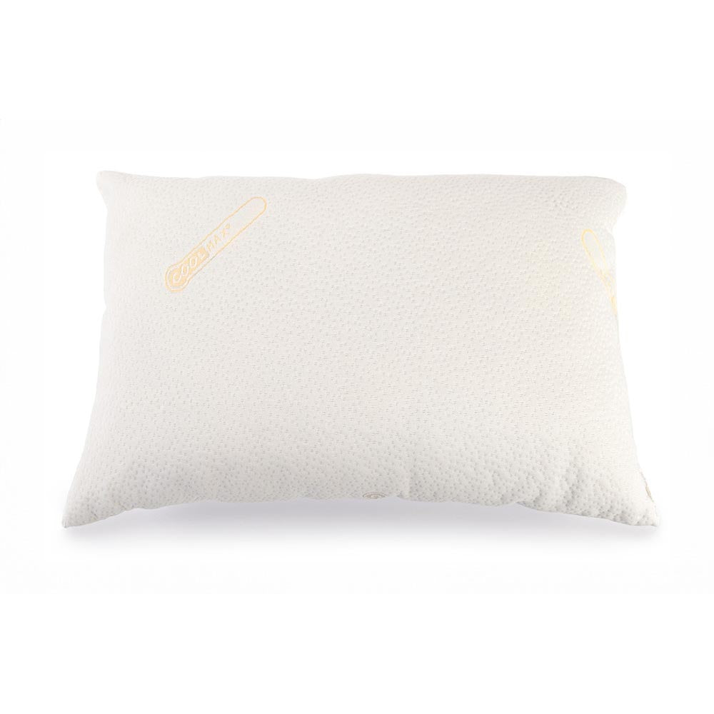 Relaxer Coolmax Memory Foam Hypoallergenic Pillow