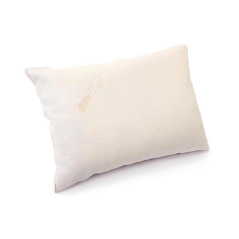 Relaxer Coolmax Memory Foam Hypoallergenic Pillow