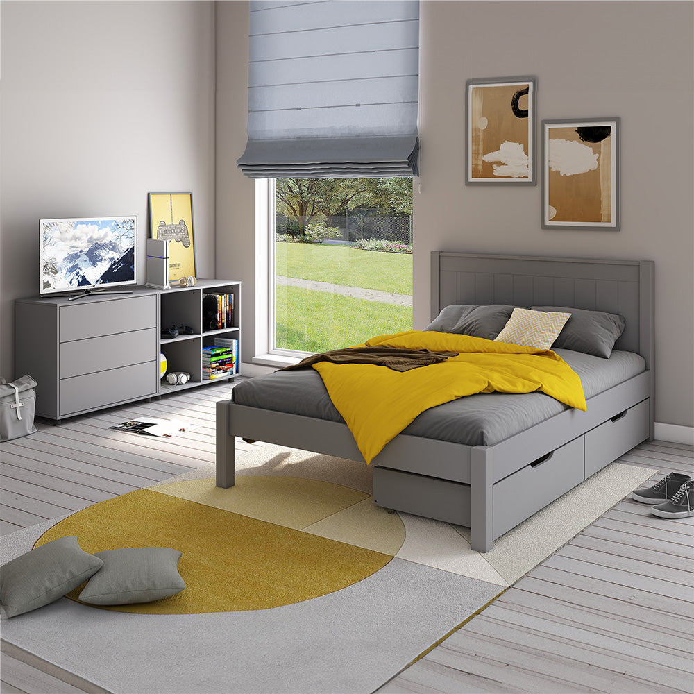 low-end-grey-double-bed-with-two-drawers